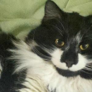 Meet your Posher, Nanci